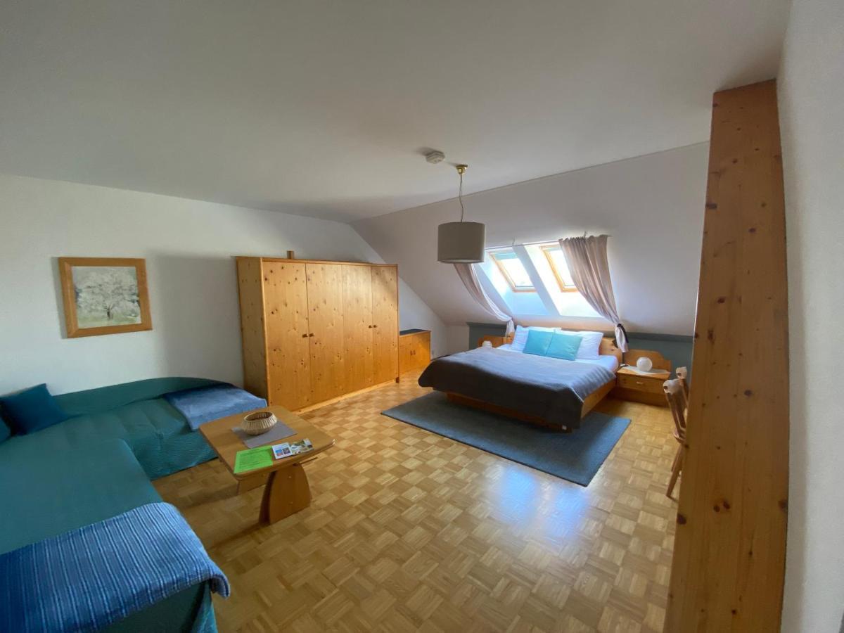 Pension Rucksackpeter Hohenbrugg an der Raab Exterior photo