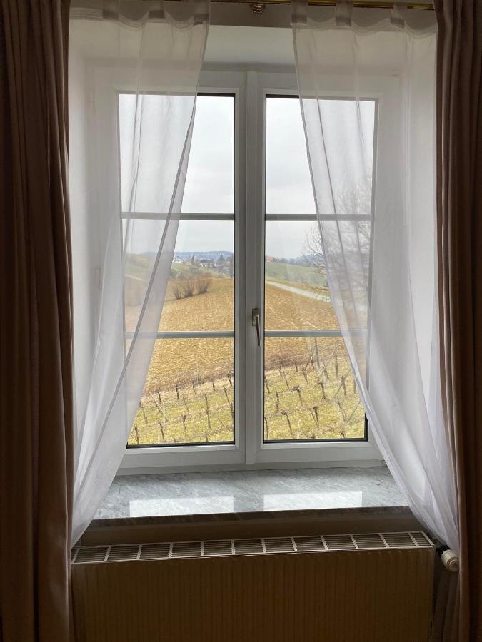 Pension Rucksackpeter Hohenbrugg an der Raab Exterior photo